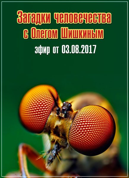 Загадки человечества с Олегом Шишкиным (эфир от 03.08.2017) SATRip Загадки человечества с Олегом Шишкиным (эфир от 03.08.2017) SATRip